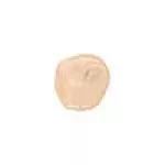 Nee Absolute Perfection Foundation Warm Beige n.W1